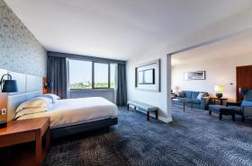 Hilton Strasbourg - photo 14