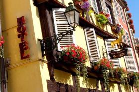 Logis Hôtel Restaurant Au Cerf d'Or - photo 20