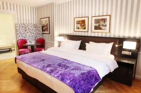 Logis Hôtel Ettenheim - photo 11