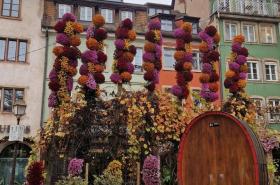 Hôtel Rohan - photo 26