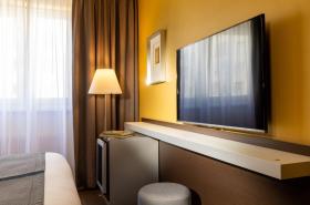 Hôtel Diana Dauphine - photo 19