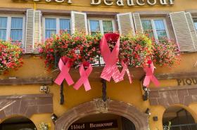 Hotel Beaucour - photo 21