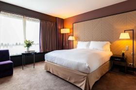 Sofitel Strasbourg Grande Ile - photo 8