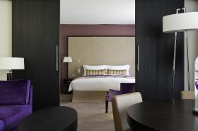 Sofitel Strasbourg Grande Ile - photo 22