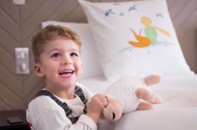 Sofitel Strasbourg Grande Ile - photo 5