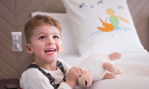 Sofitel Strasbourg Grande Ile - photo 2