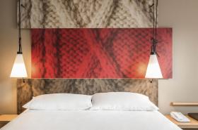 ibis Strasbourg Centre Petite France - photo 26