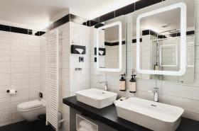 Hôtel des Vosges - photo 17