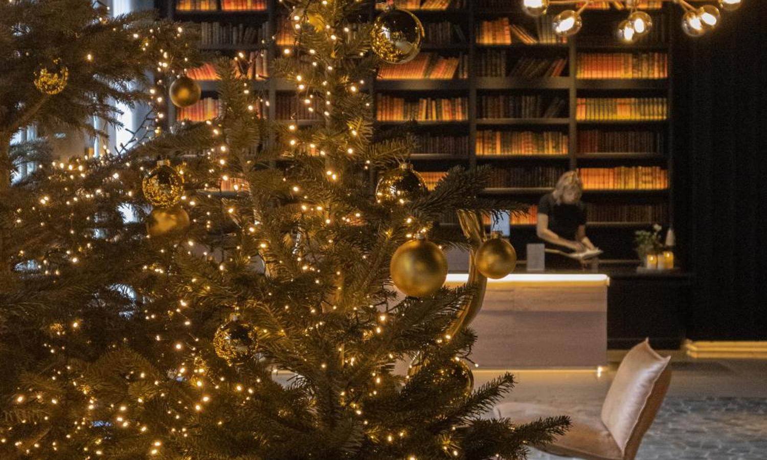 Foto dell'Hôtel LÉONOR the place to live