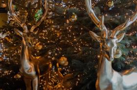 Hôtel Léonor - photo 26