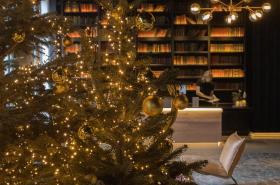 Hôtel Léonor - photo 4