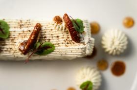 AC Hotel by Marriott Strasbourg - photo 22